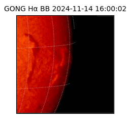 gong - 2024-11-14T16:00:02