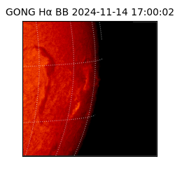 gong - 2024-11-14T17:00:02