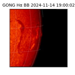 gong - 2024-11-14T19:00:02