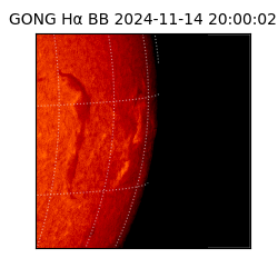 gong - 2024-11-14T20:00:02