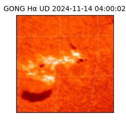 gong - 2024-11-14T04:00:02