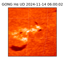 gong - 2024-11-14T06:00:02