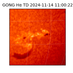 gong - 2024-11-14T11:00:22