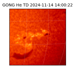 gong - 2024-11-14T14:00:22