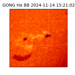 gong - 2024-11-14T15:21:02