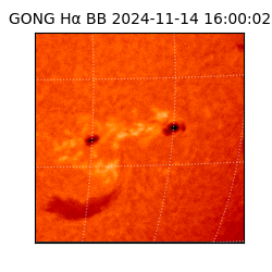 gong - 2024-11-14T16:00:02