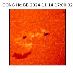 gong - 2024-11-14T17:00:02