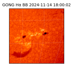 gong - 2024-11-14T18:00:02