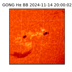 gong - 2024-11-14T20:00:02