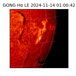 gong - 2024-11-14T01:00:42