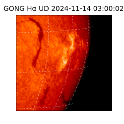 gong - 2024-11-14T03:00:02