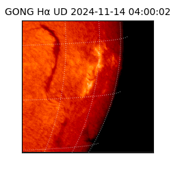 gong - 2024-11-14T04:00:02