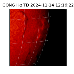 gong - 2024-11-14T12:16:22