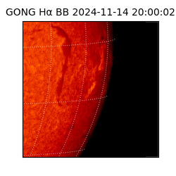 gong - 2024-11-14T20:00:02