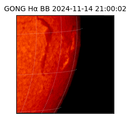 gong - 2024-11-14T21:00:02