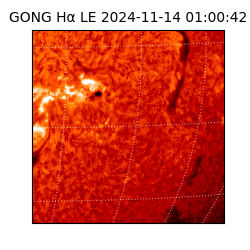 gong - 2024-11-14T01:00:42