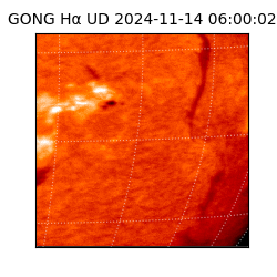 gong - 2024-11-14T06:00:02