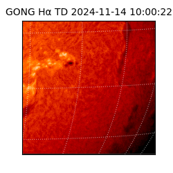 gong - 2024-11-14T10:00:22