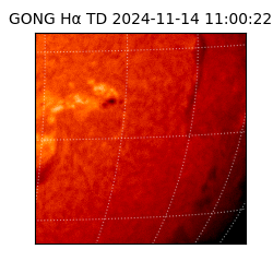 gong - 2024-11-14T11:00:22