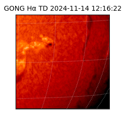 gong - 2024-11-14T12:16:22