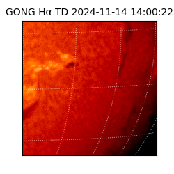 gong - 2024-11-14T14:00:22