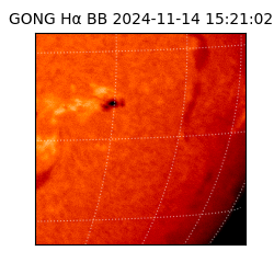 gong - 2024-11-14T15:21:02