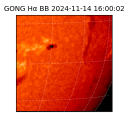 gong - 2024-11-14T16:00:02