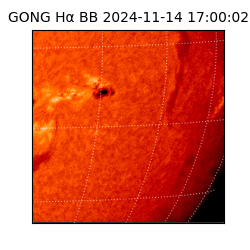 gong - 2024-11-14T17:00:02