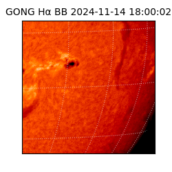 gong - 2024-11-14T18:00:02
