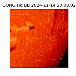gong - 2024-11-14T20:00:02