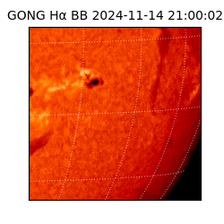 gong - 2024-11-14T21:00:02