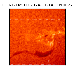 gong - 2024-11-14T10:00:22