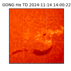 gong - 2024-11-14T14:00:22