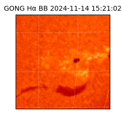 gong - 2024-11-14T15:21:02