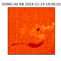 gong - 2024-11-14T19:00:02