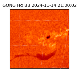 gong - 2024-11-14T21:00:02