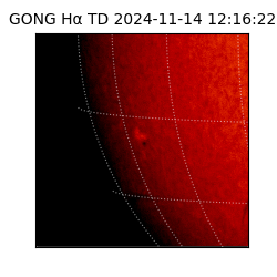 gong - 2024-11-14T12:16:22