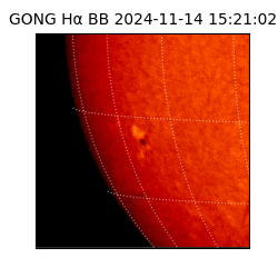 gong - 2024-11-14T15:21:02