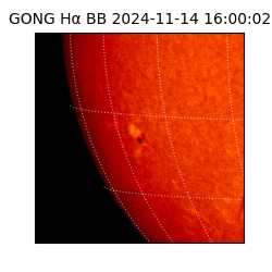 gong - 2024-11-14T16:00:02