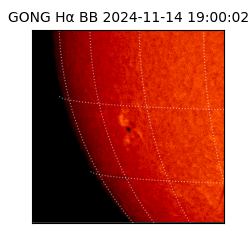 gong - 2024-11-14T19:00:02