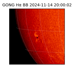 gong - 2024-11-14T20:00:02