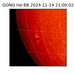 gong - 2024-11-14T21:00:02