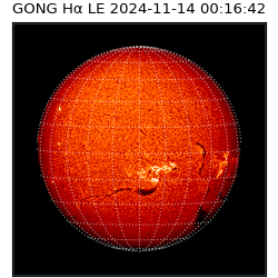 gong - 2024-11-14T00:16:42