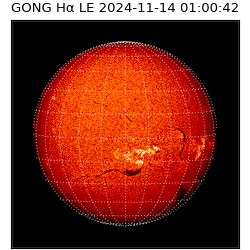 gong - 2024-11-14T01:00:42