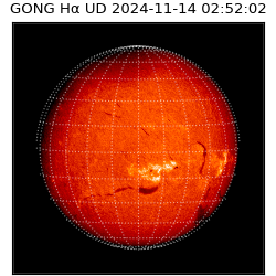 gong - 2024-11-14T02:52:02