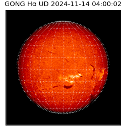 gong - 2024-11-14T04:00:02