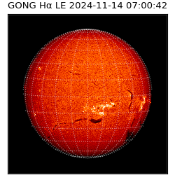 gong - 2024-11-14T07:00:42