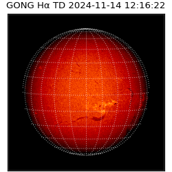 gong - 2024-11-14T12:16:22