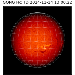 gong - 2024-11-14T13:00:22