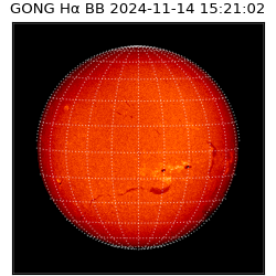 gong - 2024-11-14T15:21:02